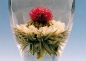 Blooming Tea: Little Princess