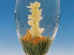 Blooming Tea: Fairy of Jasmin