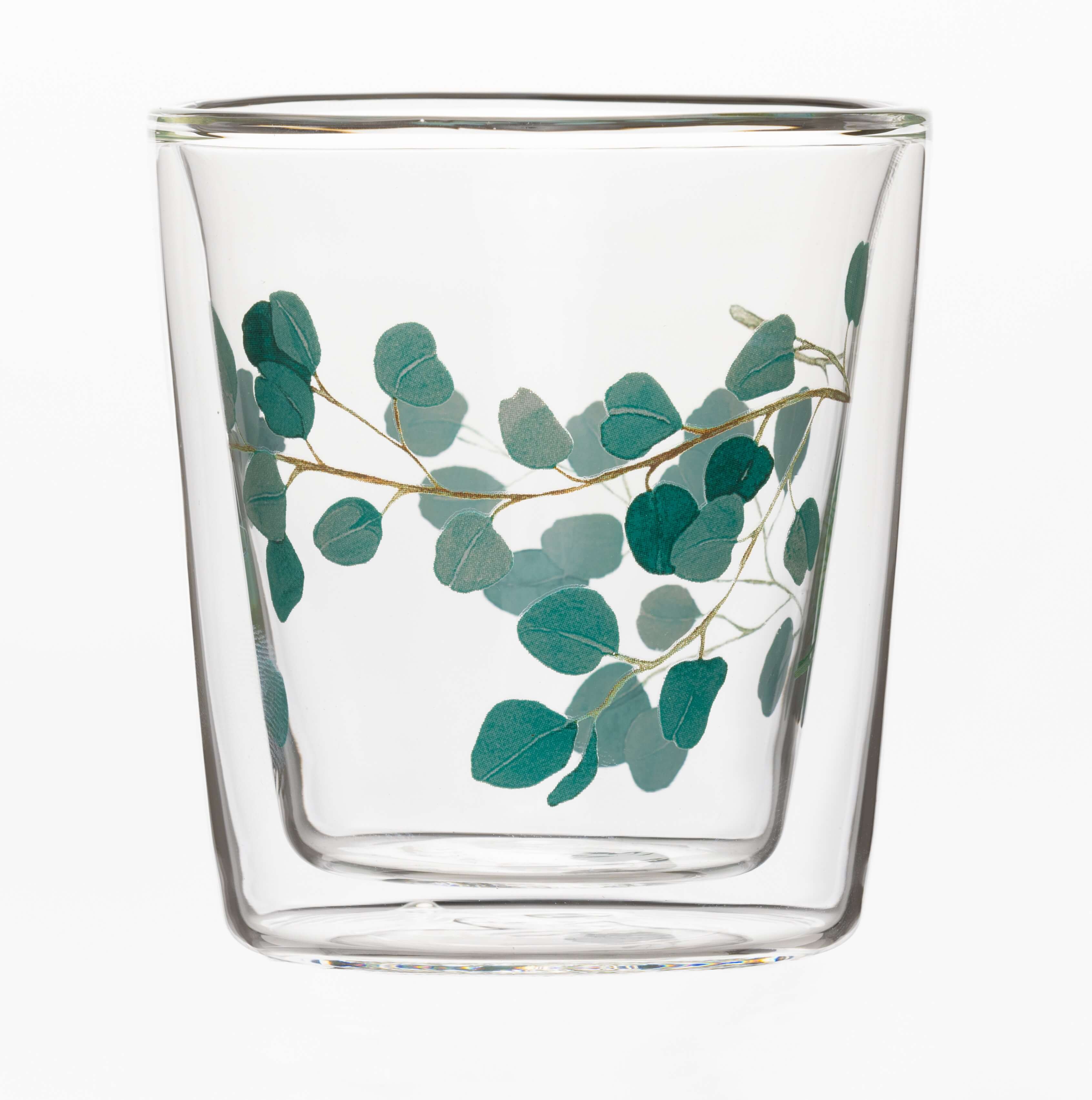 doppelwandiges teeglas lyn eucalyptus bei bestellen │ TeeFARBEN