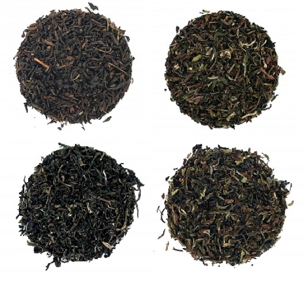 ST-Darjeeling Singbulli